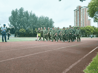 34.5.gif 34.5.gif